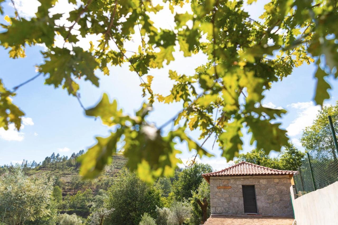 Casa Velha De Ponta Soto Villa Cela  Buitenkant foto